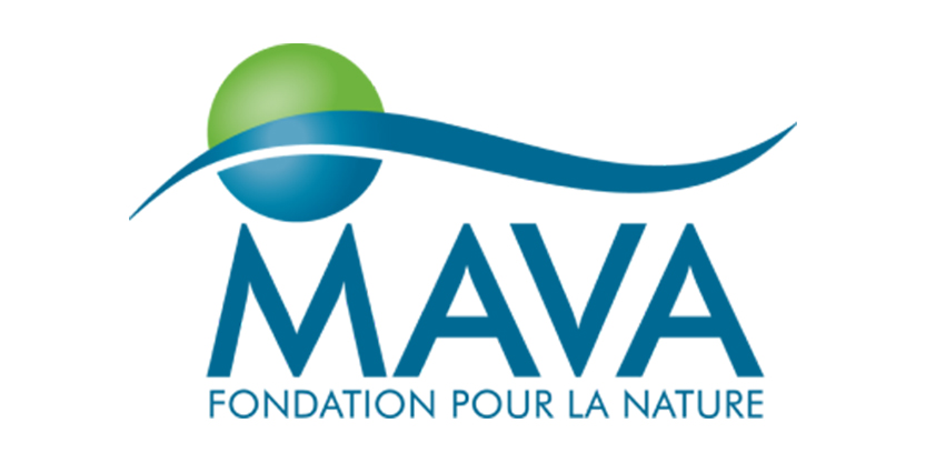 Mava