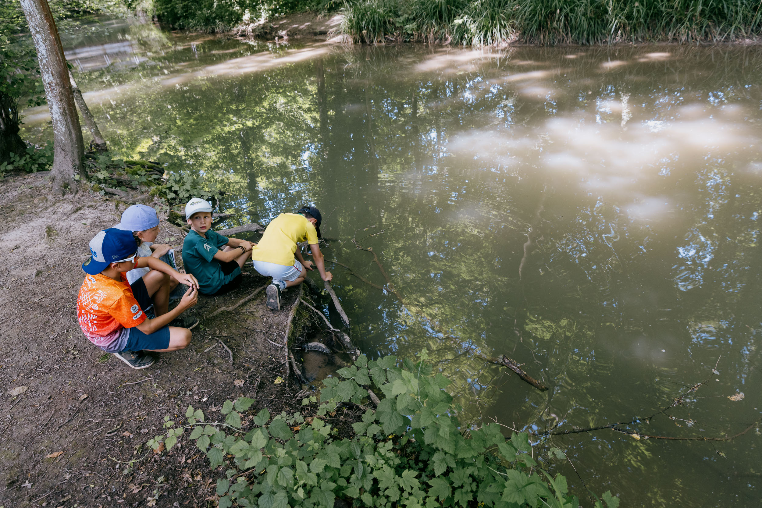 Le poisson comment ça marche?